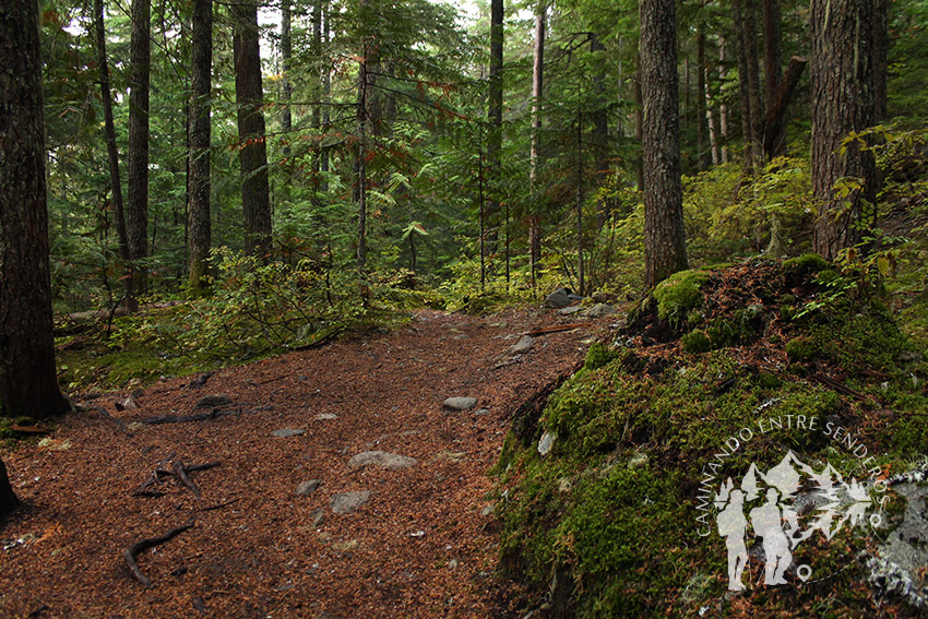 Rainbow Falls (Whistler)