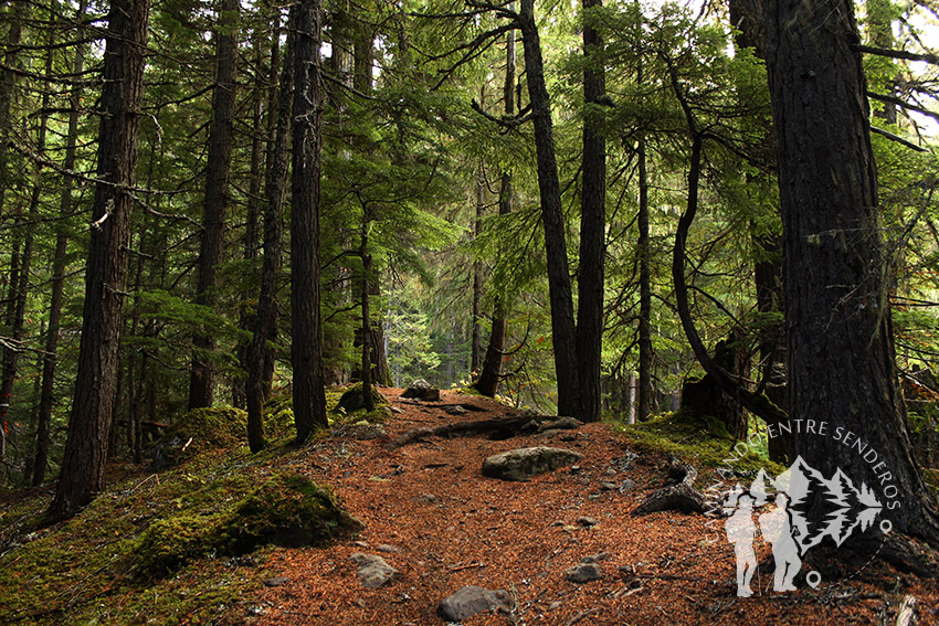 Rainbow Falls (Whistler)