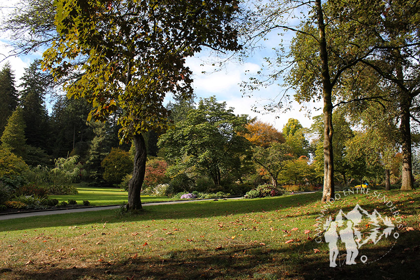 Stanley Park (Vancouver)