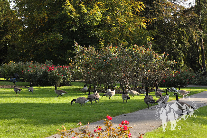 Jardín de Shakespeare
