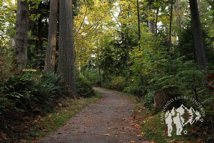 Stanley Park (Vancouver)