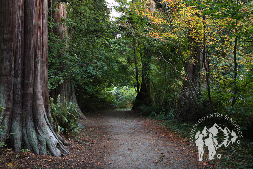 Stanley Park (Vancouver)