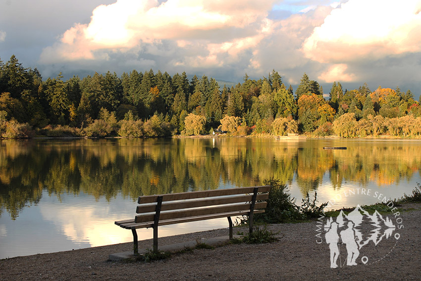 Lost Lagoon