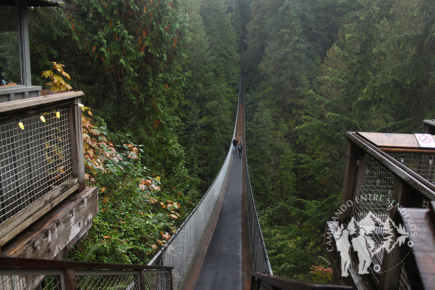 Capilano Suspension Bridge