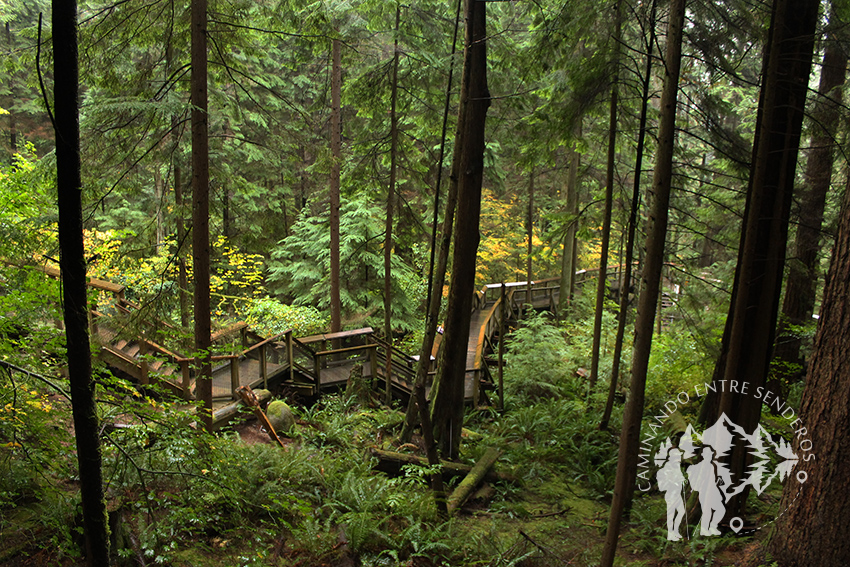 Capilano Suspension Bridge (Vancouver)