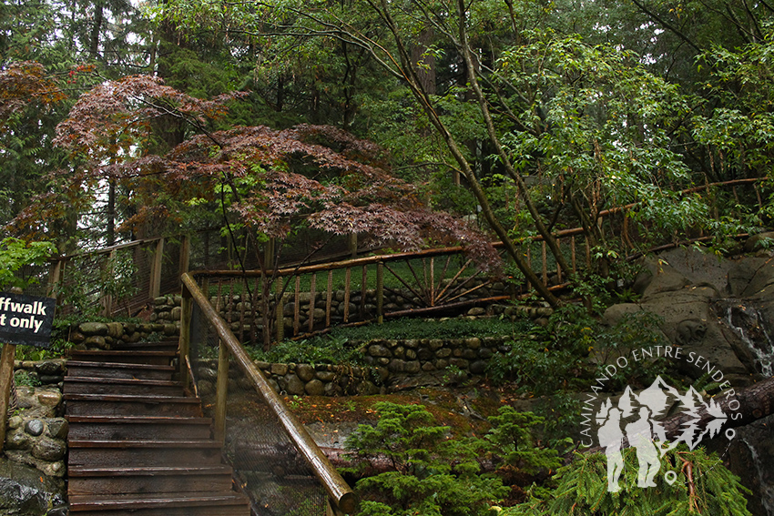 Capilano Suspension Bridge (Vancouver)