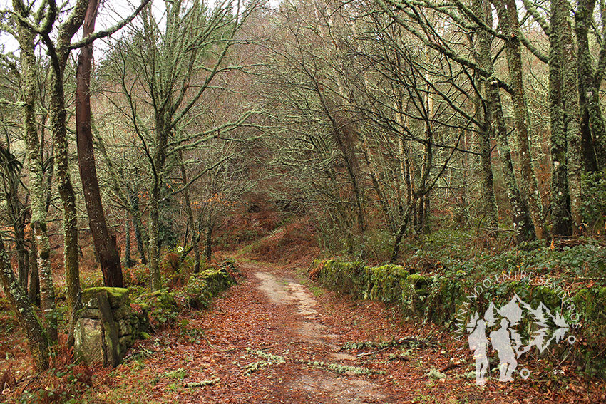 Monte Segade (Lugo)