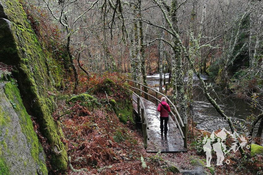 Pasarela río Mera