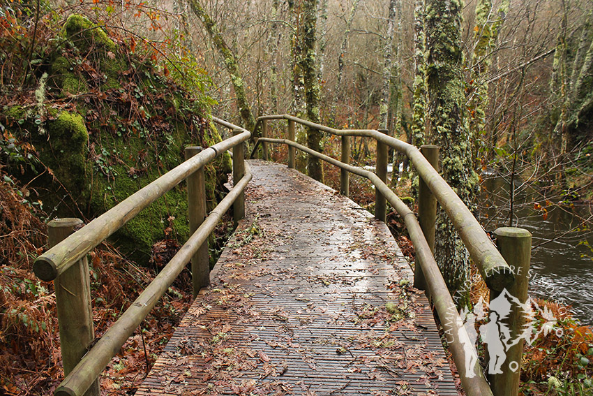 Pasarela río Mera