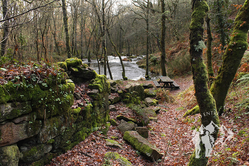 Molinos del Monte Segade (Lugo)