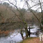 Río Miño
