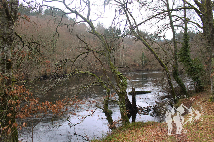 Río Miño