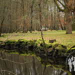 Canal río Miño