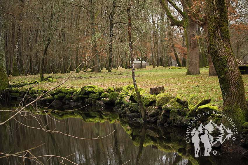 Canal río Miño