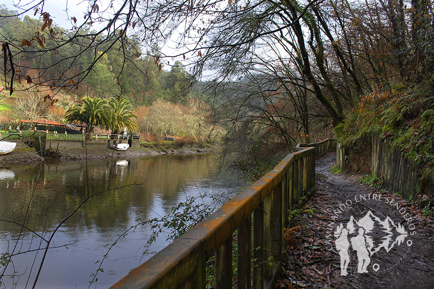 Paseo fluvial dos Caneiros