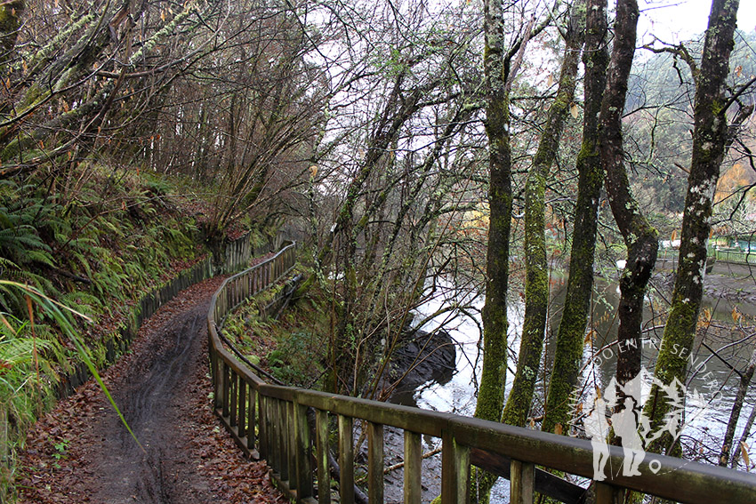 Paseo fluvial dos Caneiros