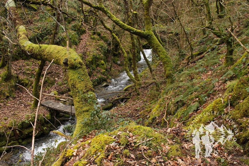 Ruta da Seimeira (A Pontenova)