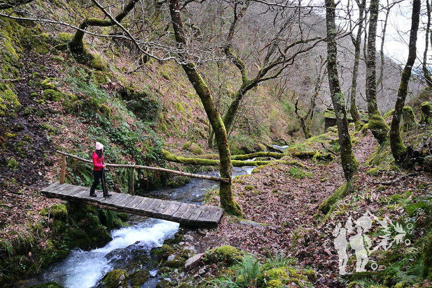 Ruta da Seimeira (A Pontenova)