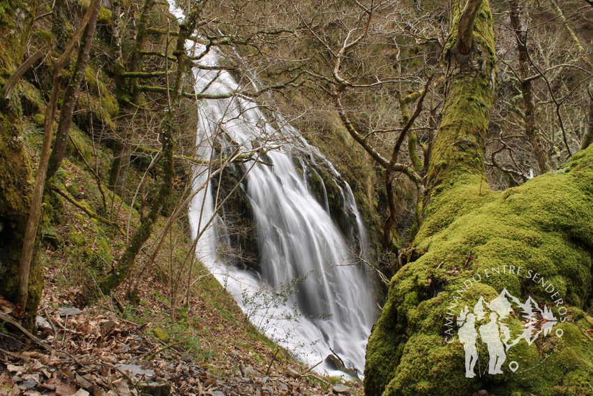 Ruta da Seimeira (A Pontenova)