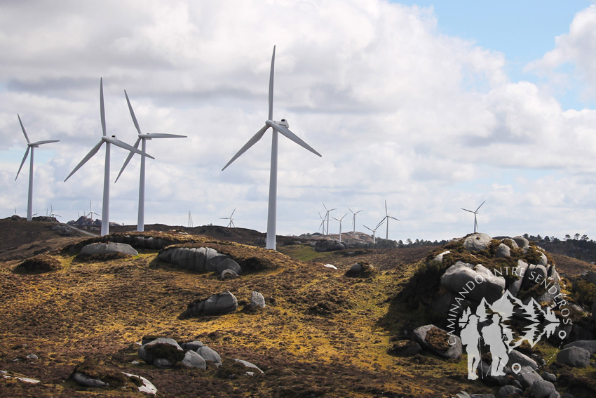 Molinos Serra do Xistral