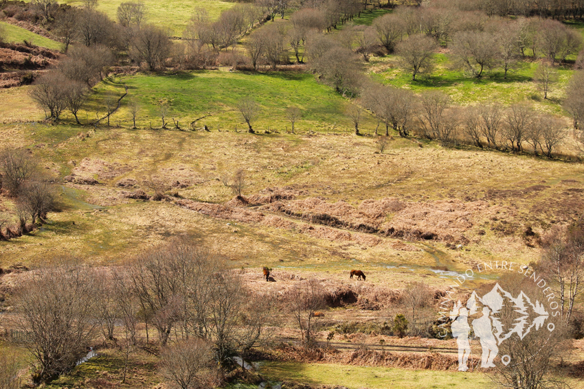 Valle Serra do Xistral