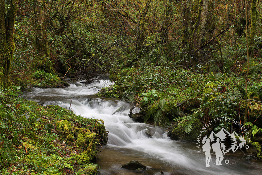 Río Turía