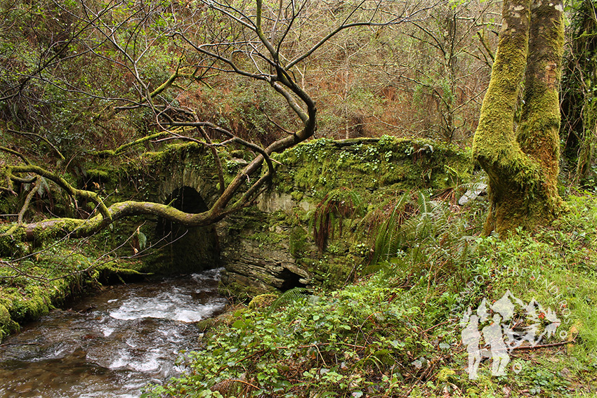 Puente de piedra antes de Vega de Zarza