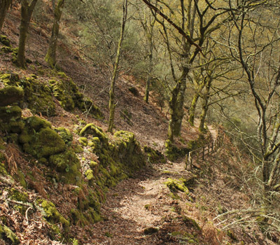 Camino Natural de la Ribeira Sacra