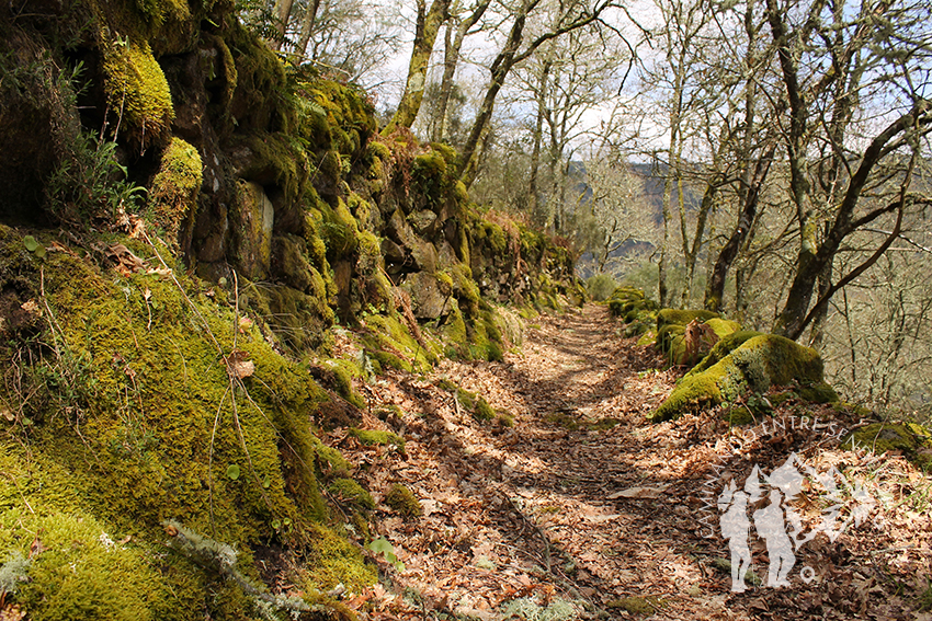 Camino Natural de la Ribeira Sacra