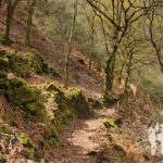 Camino Natural de la Ribeira Sacra