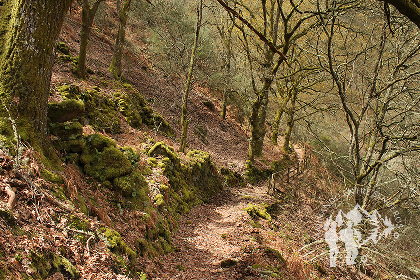 Camino Natural de la Ribeira Sacra