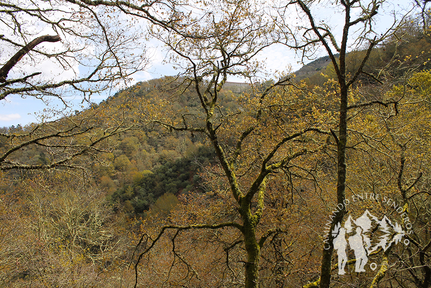 Monasterio de Santo Estevo de Ribas de Sil