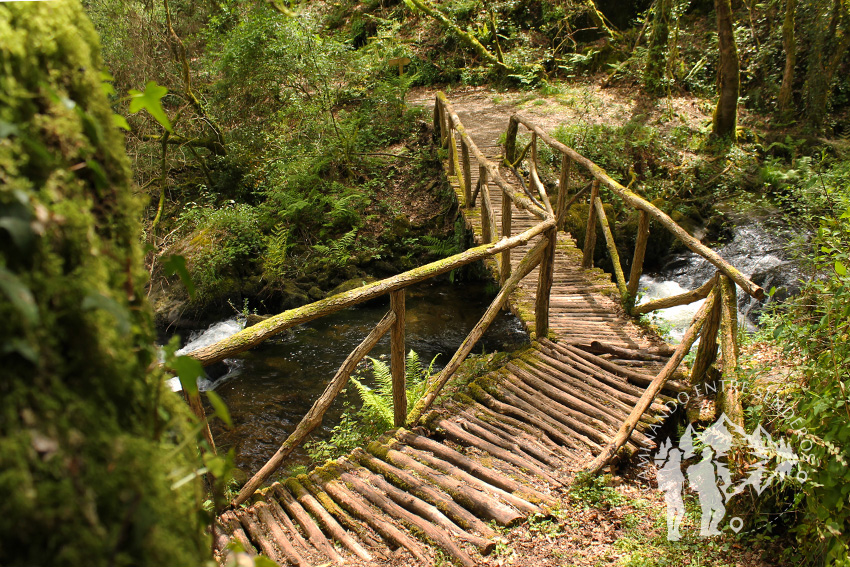 Puente Fervenza do Pozo Negro (Brión)