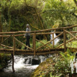 Puente Fervenza do Pozo Negro (Brión)