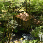 muiño Soutiño