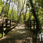 Puente Área Recreativa de Lodeiro