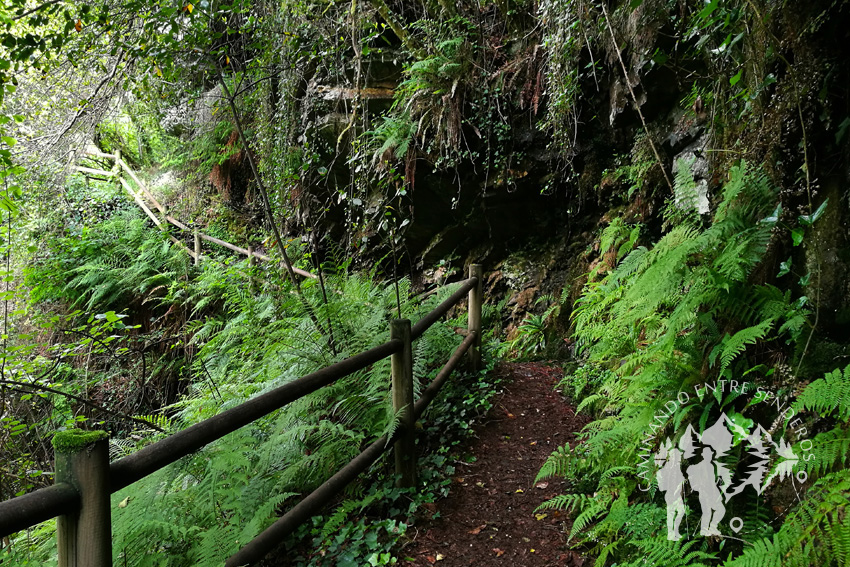 Pasarela fraga de San Cosme