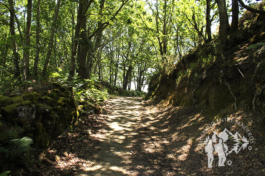 Ruta As Escadas-Vilouxe (Ribeira Sacra)