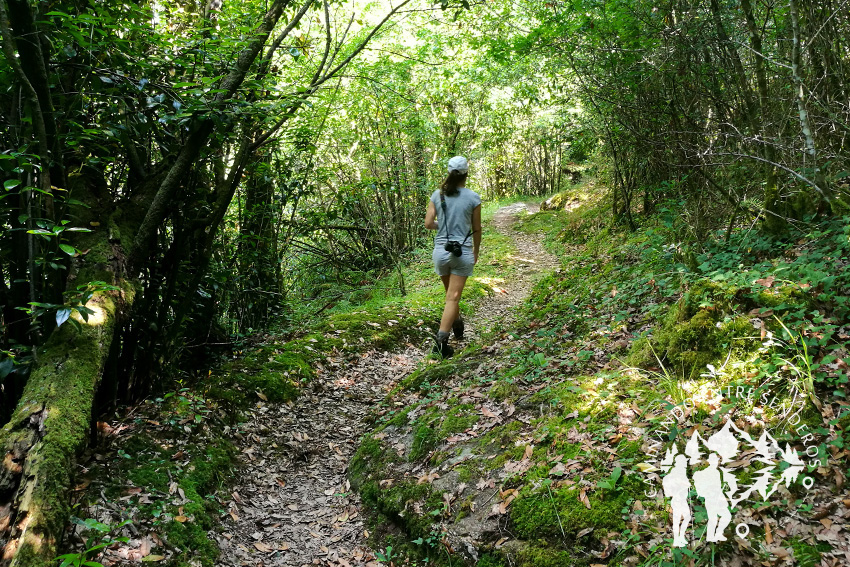Camino Fervenza do Río Pereiro