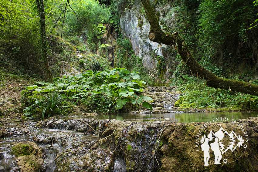 Pie Cascata delle Vallocchie (Rieti)