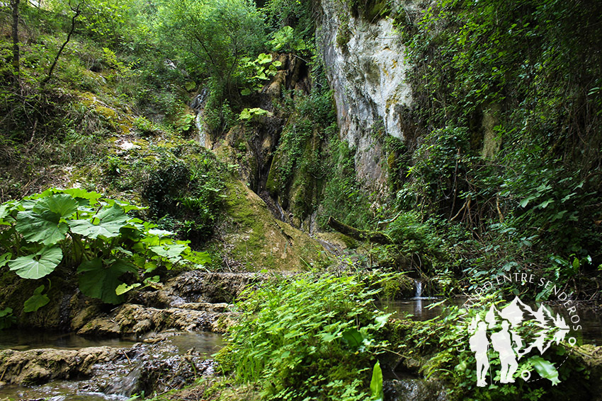 Pie Cascata delle Vallocchie (Rieti)