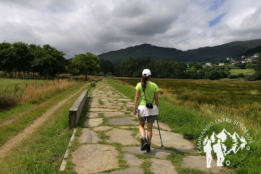 Paseo fluvial Río Landro (Viveiro)