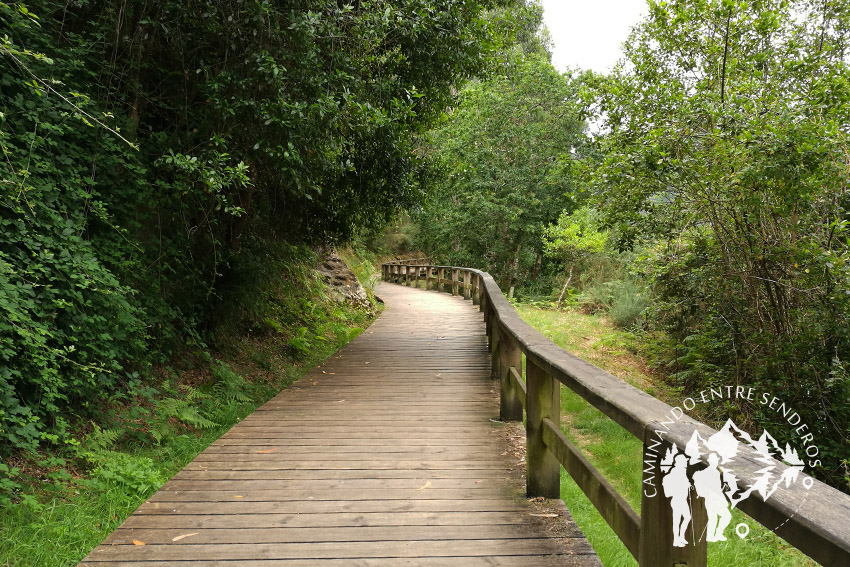 Paseo fluvial Río Landro (Viveiro)