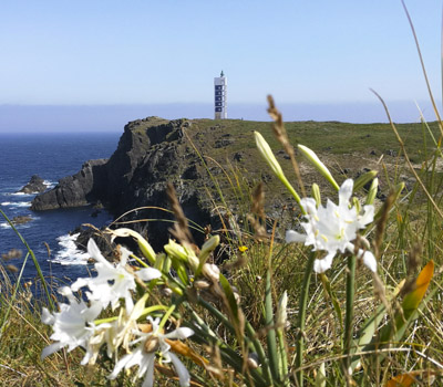 Faro de A Frouxeira (Valdoviño)