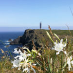 Faro de A Frouxeira (Valdoviño)