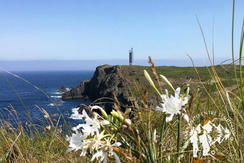 Faro de A Frouxeira (Valdoviño)