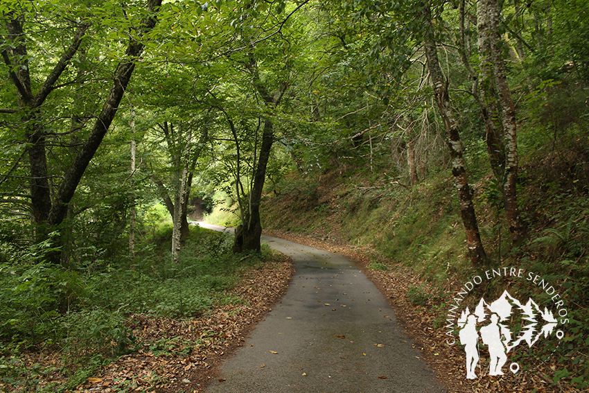 Carretera hacia Centro de Interpretación de Muniellos