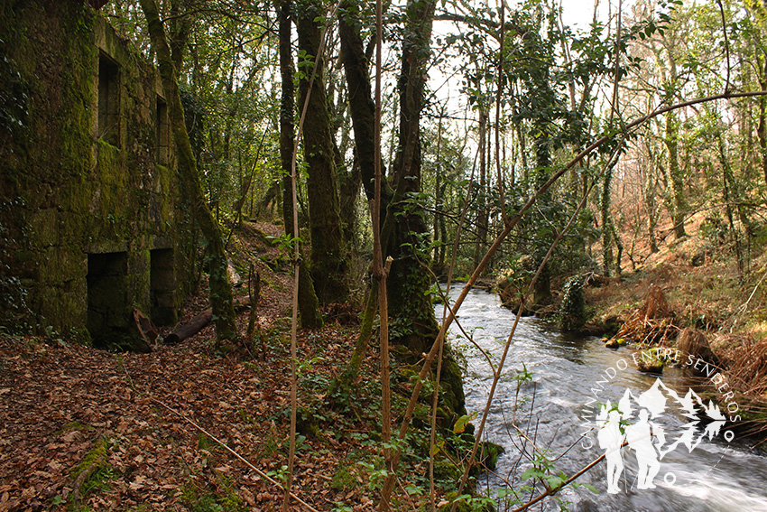 Río Curantes