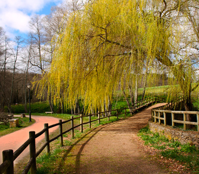 Paseo fluvial Río Pontiñas (Lalín)