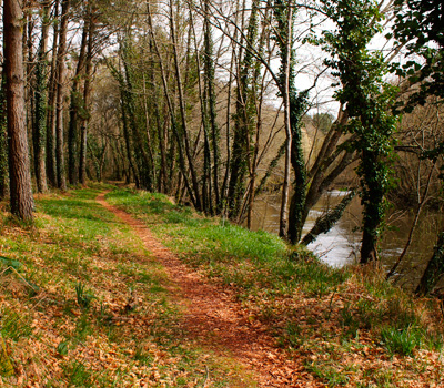 Ruta do Tambre (Sigüeiro)